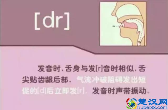 48个国际英语音标发音表及口型，好东西必须珍藏！文末有福利