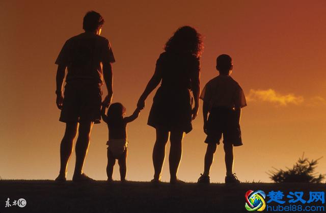 英语语法｜区别 fool 和 foolish 等不同程度的傻！