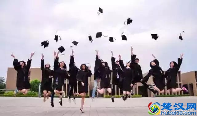 文科生考大学能报哪些专业？