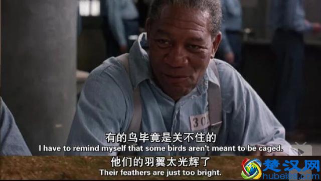 《肖申克的救赎》，一生必看的电影，最后到底救赎了什么