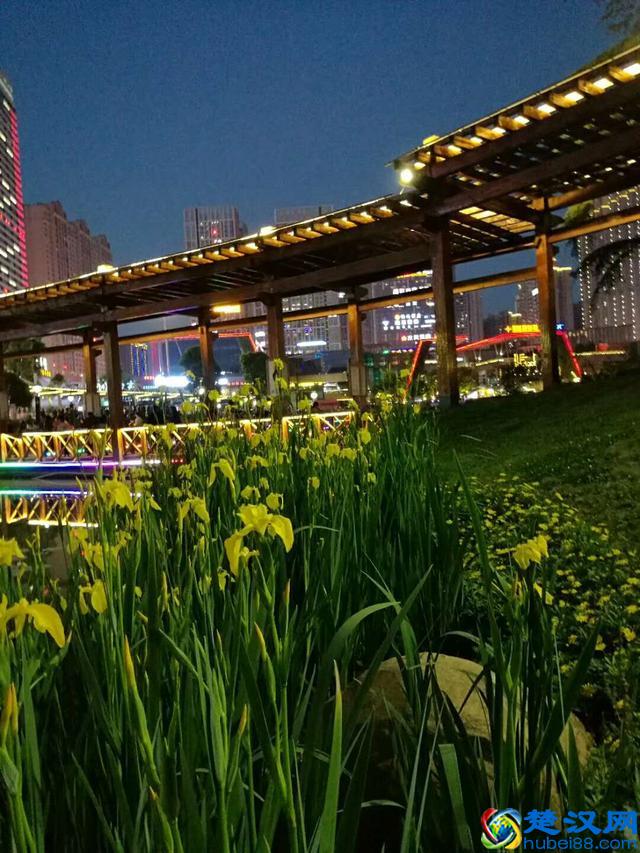 号称亚洲神盘的中国第一大盘,贵阳花果园的“白宫”夜景真心美