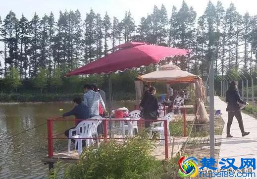 不想外出打工的农民有这3个好出路，谁先下手谁先致富