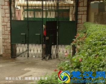 王祖贤开衫穿搭秘籍，夏末秋初穿开衫，让你时髦又有女人味，