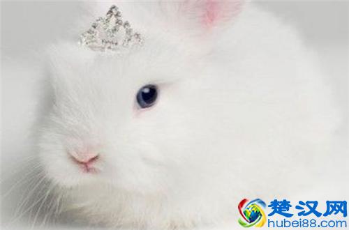 二货世界欢乐多,你是傻吗?菊花疼来牙科做什么?