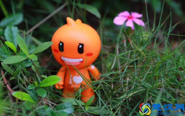 新手开淘宝网店需要准备多少钱?