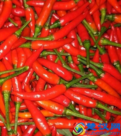 辣椒为什么会辣手 如何预防辣椒辣手