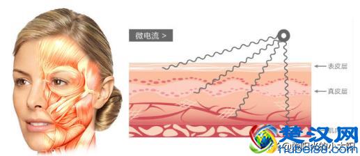 是噱头还是真本事？11款网红超人气家用美容仪实测经验分享