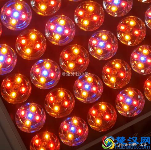 是噱头还是真本事？11款网红超人气家用美容仪实测经验分享