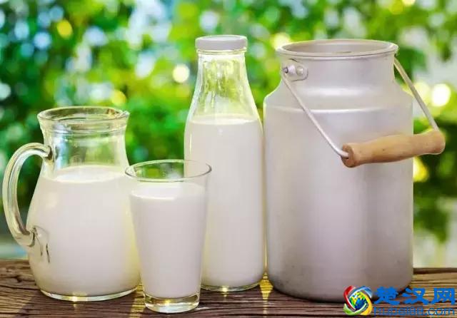 澳洲3款火爆成人奶粉（德运、蓝胖子、A2成人奶粉）优劣分析