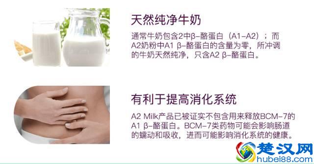 澳洲3款火爆成人奶粉（德运、蓝胖子、A2成人奶粉）优劣分析