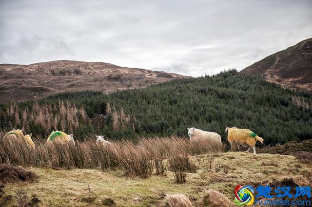 穷游不列颠--英国15天自驾路潜之旅，攻略路书+全程游记+延时摄影