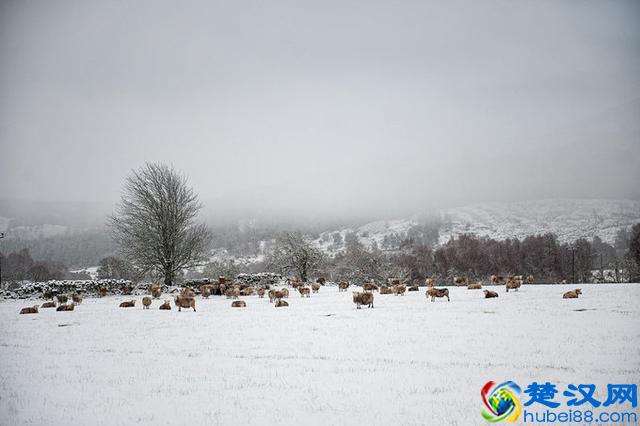 穷游不列颠--英国15天自驾路潜之旅，攻略路书+全程游记+延时摄影