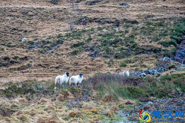 穷游不列颠--英国15天自驾路潜之旅，攻略路书+全程游记+延时摄影