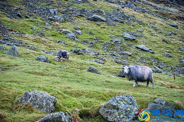 穷游不列颠--英国15天自驾路潜之旅，攻略路书+全程游记+延时摄影