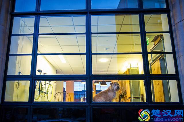 穷游不列颠--英国15天自驾路潜之旅，攻略路书+全程游记+延时摄影