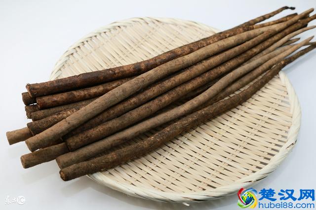 牛蒡的药用价值及功效是什么？牛蒡7大药用功效与作用大公开！