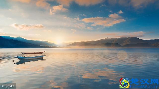 1亩1年能赚2万的养鱼技术 你不想学吗？