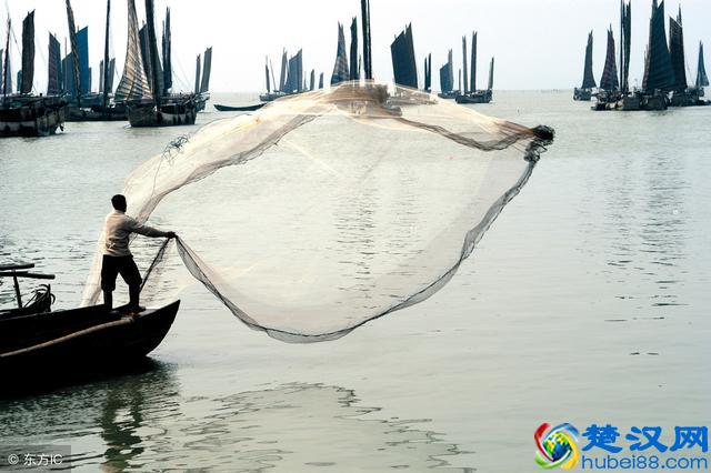 1亩1年能赚2万的养鱼技术 你不想学吗？