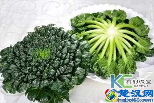 盘点可以无土栽培种植的蔬菜