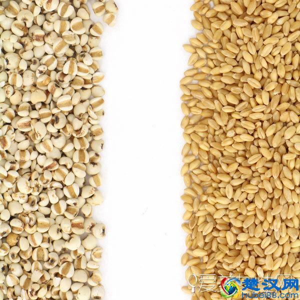 体内湿气重怎么祛除？教你必备六招数