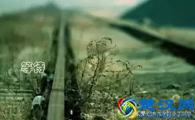 什么是缘分?（最美的回答）