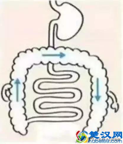 按摩腹部应该朝哪个方向？顺时针好还是逆时针好