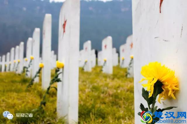 分享｜电台：你的诗和远方，我的风花雪月