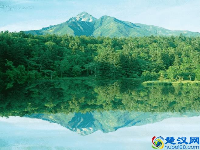 眼睛累了，就看看这些图，保证让你心旷神怡！