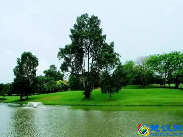 眼睛累了，就看看这些图，保证让你心旷神怡！