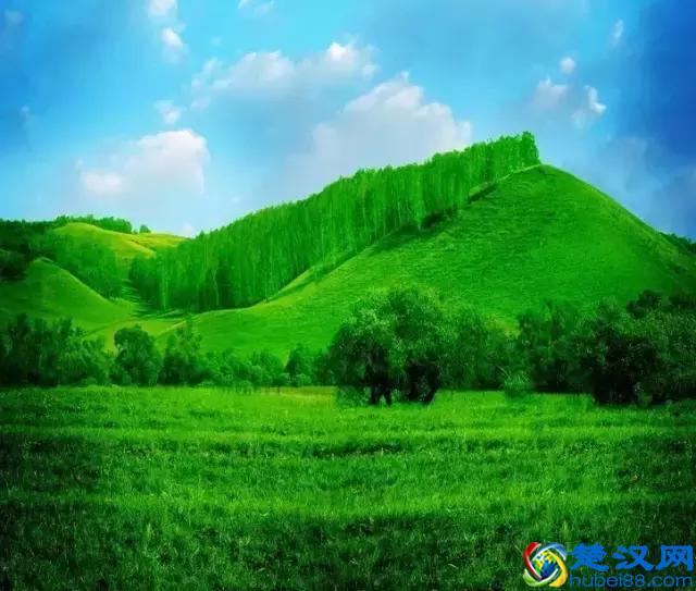 眼睛累了，就看看这些图，保证让你心旷神怡！