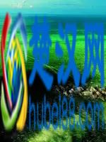 眼睛累了，就看看这些图，保证让你心旷神怡！