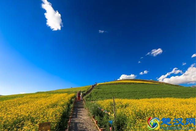 出发是为了更好的回家，与青海醉美的邂逅