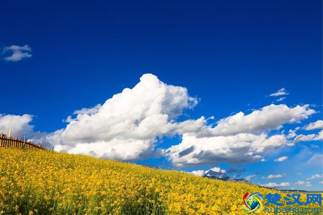 出发是为了更好的回家，与青海醉美的邂逅