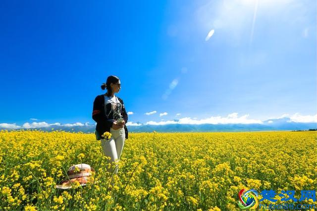 出发是为了更好的回家，与青海醉美的邂逅