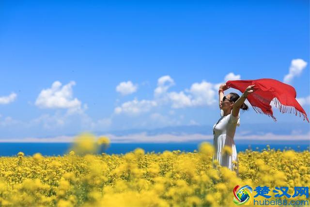 出发是为了更好的回家，与青海醉美的邂逅