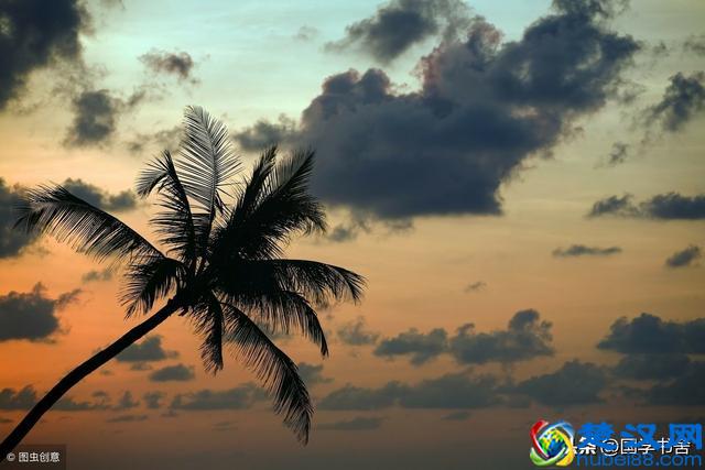 国学文化《菜根谭》：懂得未雨绸缪，感悟不喜不悲