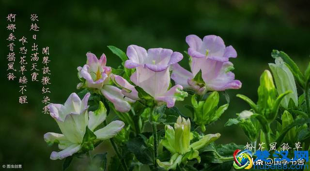 国学文化《菜根谭》：懂得未雨绸缪，感悟不喜不悲
