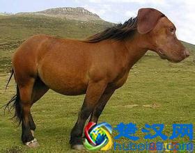 “素数是什么？”