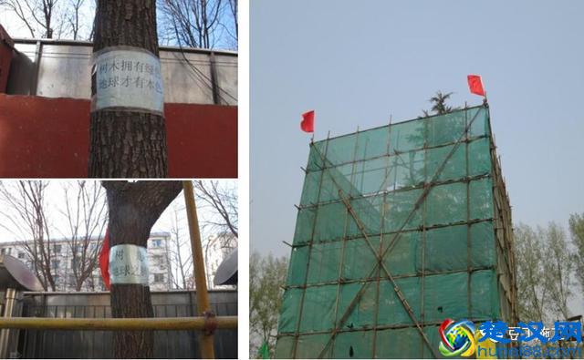 技术总结丨环保查这么严，建筑施工中都有哪些环境保护技术措施？