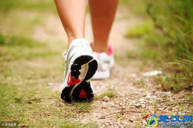 千里之行，始于足下；漫漫长路，不如就从此刻出发