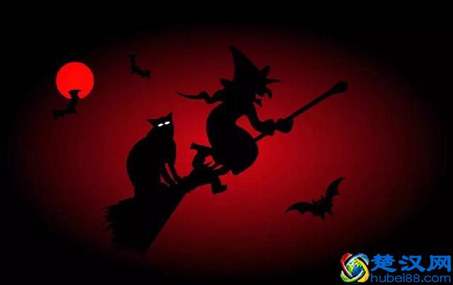 为什么会有“好奇害死猫”这个说法？