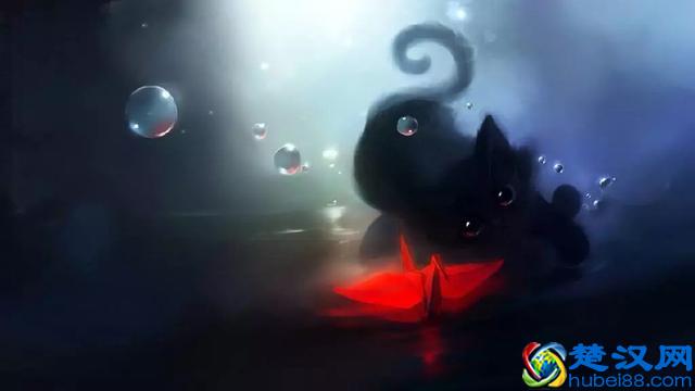 为什么会有“好奇害死猫”这个说法？