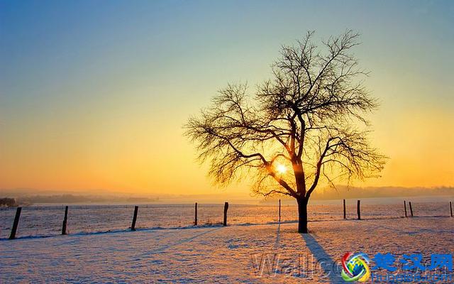 做人，不可盛气凌人，也不可低眉折腰