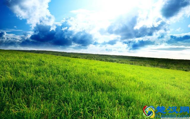 做人，不可盛气凌人，也不可低眉折腰