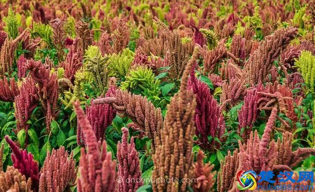 和另一个人“卡农”，是什么感觉？