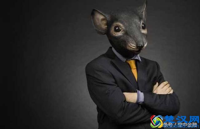 他们用一句话就能让你血本无归——告诉你什么是老鼠仓