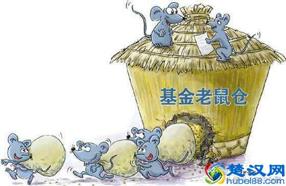 他们用一句话就能让你血本无归——告诉你什么是老鼠仓