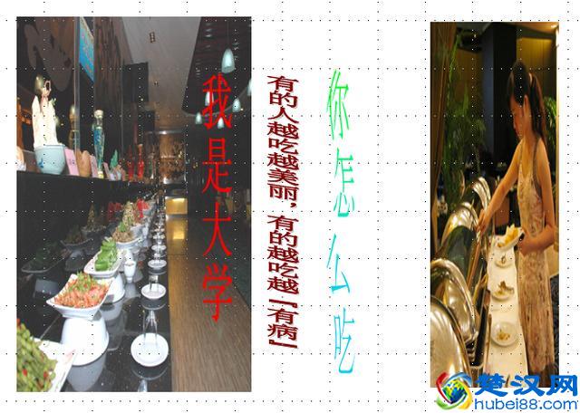 大学到底是个什么东西，揭开大学象牙塔的神秘面纱