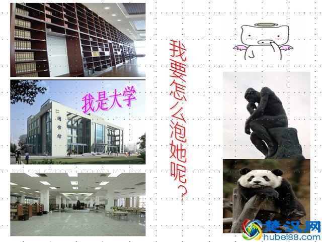 大学到底是个什么东西，揭开大学象牙塔的神秘面纱