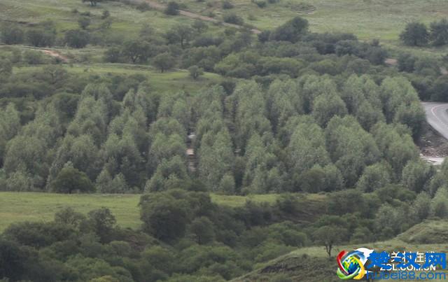 注意！全是坑！摄影新手如何选单反相机